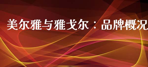 美尔雅与雅戈尔：品牌概况_https://qh.lansai.wang_股票新闻_第1张