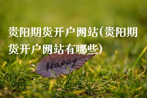 贵阳期货开户网站(贵阳期货开户网站有哪些)_https://qh.lansai.wang_期货理财_第1张