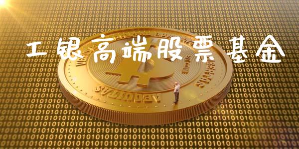 工银高端股票基金_https://qh.lansai.wang_期货理财_第1张
