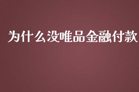 为什么没唯品金融付款_https://qh.lansai.wang_股票新闻_第1张