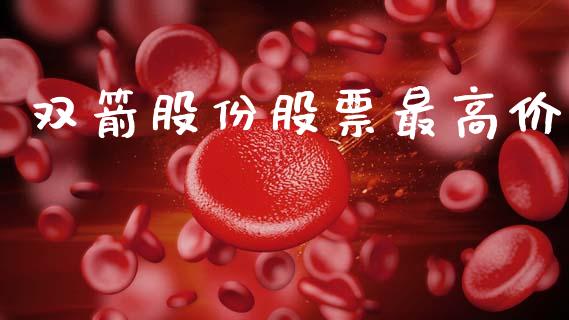 双箭股份股票最高价_https://qh.lansai.wang_期货怎么玩_第1张