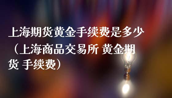 上海期货黄金手续费是多少（上海商品交易所 黄金期货 手续费）_https://qh.lansai.wang_期货怎么玩_第1张