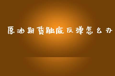 原油期货触底反弹怎么办_https://qh.lansai.wang_期货怎么玩_第1张