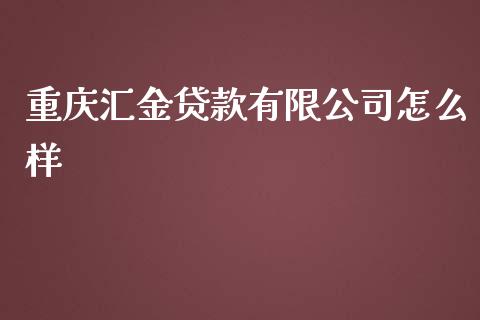 重庆汇金贷款有限公司怎么样_https://qh.lansai.wang_海康威视股票_第1张