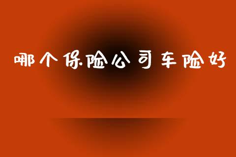 哪个保险公司车险好_https://qh.lansai.wang_期货理财_第1张