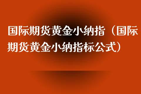 国际期货黄金小纳指（国际期货黄金小纳指标公式）_https://qh.lansai.wang_期货喊单_第1张