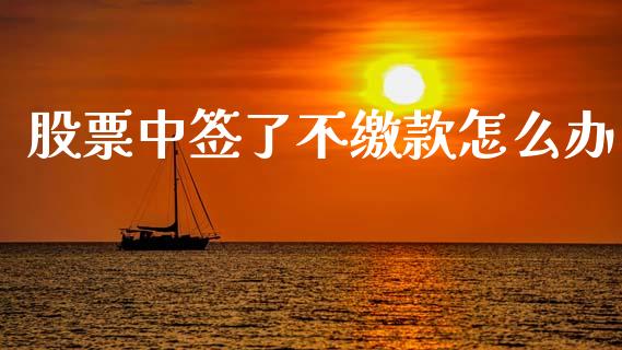 股票中签了不缴款怎么办_https://qh.lansai.wang_期货理财_第1张