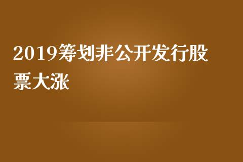 2019筹划非公开发行股票大涨_https://qh.lansai.wang_新股数据_第1张