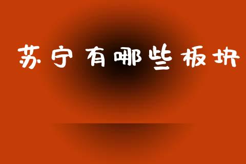 苏宁有哪些板块_https://qh.lansai.wang_期货理财_第1张