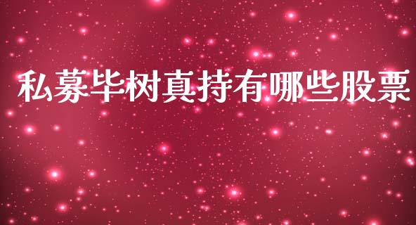 私募毕树真持有哪些股票_https://qh.lansai.wang_期货怎么玩_第1张