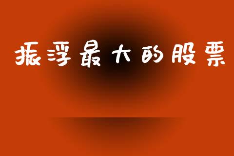 振浮最大的股票_https://qh.lansai.wang_期货怎么玩_第1张