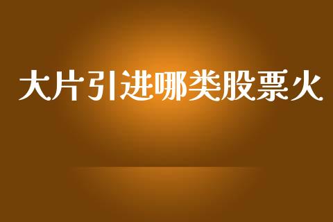 大片引进哪类股票火_https://qh.lansai.wang_期货喊单_第1张