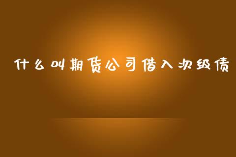 什么叫期货公司借入次级债_https://qh.lansai.wang_期货喊单_第1张