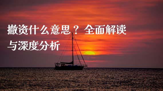 撤资什么意思？ 全面解读与深度分析_https://qh.lansai.wang_期货怎么玩_第1张