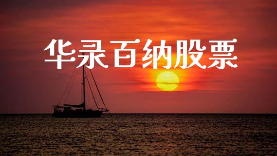华录百纳股票_https://qh.lansai.wang_期货喊单_第1张