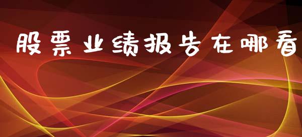 股票业绩报告在哪看_https://qh.lansai.wang_新股数据_第1张