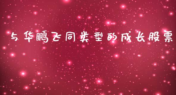 与华鹏飞同类型的成长股票_https://qh.lansai.wang_期货怎么玩_第1张