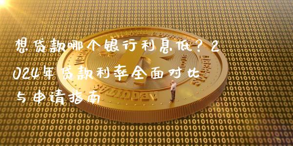 想贷款哪个银行利息低？2024年贷款利率全面对比与申请指南_https://qh.lansai.wang_期货理财_第1张