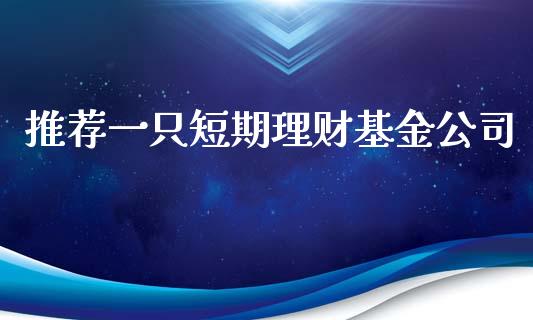 推荐一只短期理财基金公司_https://qh.lansai.wang_期货理财_第1张