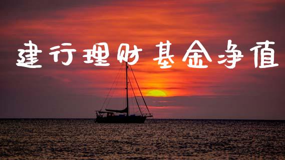 建行理财基金净值_https://qh.lansai.wang_期货理财_第1张
