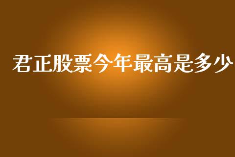 君正股票今年最高是多少_https://qh.lansai.wang_新股数据_第1张