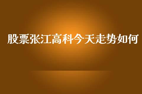 股票张江高科今天走势如何_https://qh.lansai.wang_新股数据_第1张
