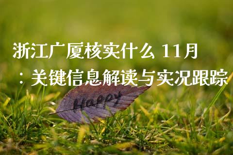 浙江广厦核实什么 11月：关键信息解读与实况跟踪_https://qh.lansai.wang_期货喊单_第1张