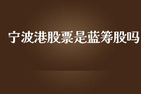 宁波港股票是蓝筹股吗_https://qh.lansai.wang_期货理财_第1张