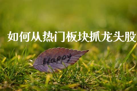 如何从热门板块抓龙头股_新股数据_第1张_起点期货网 如何从热门板块抓龙头股_https://qh.lansai.wang_新股数据_第1张