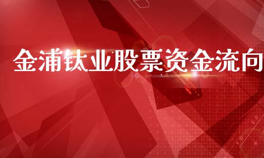 金浦钛业股票资金流向_https://qh.lansai.wang_期货理财_第1张