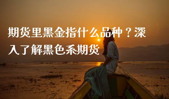 期货里黑金指什么品种？深入了解黑色系期货_https://qh.lansai.wang_期货喊单_第1张