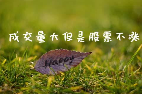 成交量大但是股票不涨_https://qh.lansai.wang_新股数据_第1张