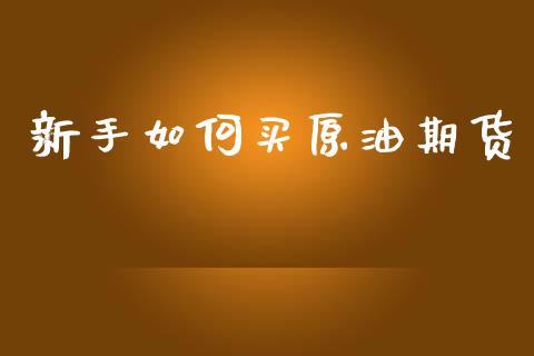 新手如何买原油期货_https://qh.lansai.wang_期货怎么玩_第1张