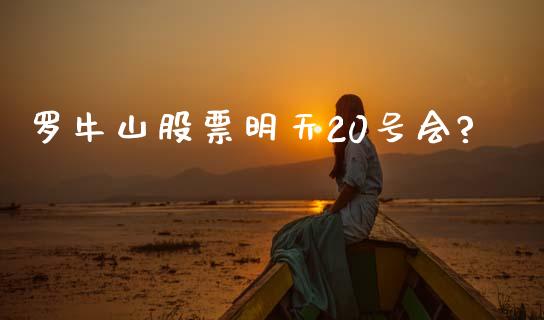 罗牛山股票明天20号会?_https://qh.lansai.wang_新股数据_第1张
