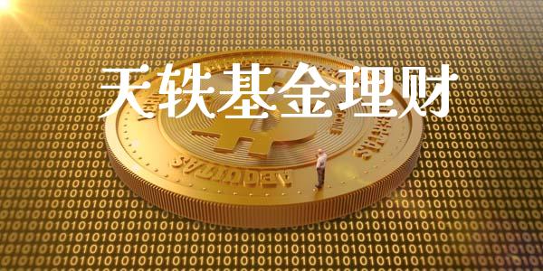 天轶基金理财_https://qh.lansai.wang_期货理财_第1张