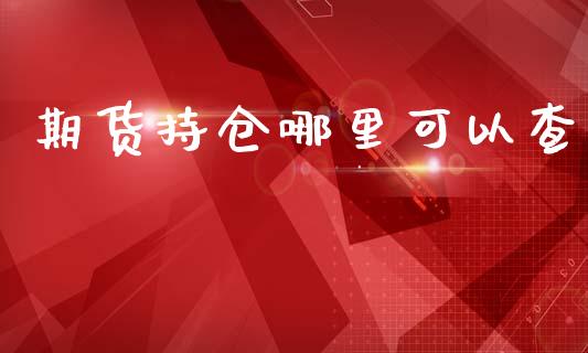 期货持仓哪里可以查_https://qh.lansai.wang_期货怎么玩_第1张