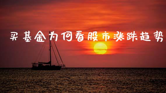 买基金为何看股市涨跌趋势_https://qh.lansai.wang_期货理财_第1张