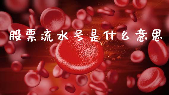 股票流水号是什么意思_https://qh.lansai.wang_期货怎么玩_第1张