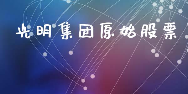 光明集团原始股票_https://qh.lansai.wang_期货怎么玩_第1张