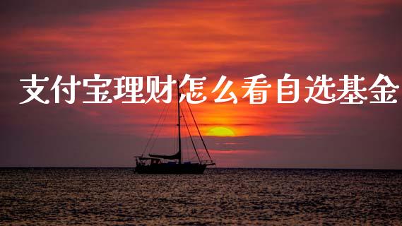 支付宝理财怎么看自选基金_https://qh.lansai.wang_期货理财_第1张