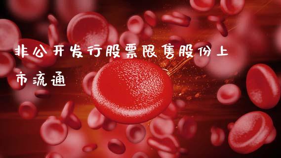 非公开发行股票限售股份上市流通_https://qh.lansai.wang_新股数据_第1张