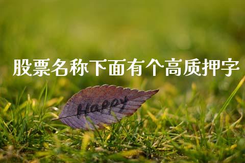 股票名称下面有个高质押字_https://qh.lansai.wang_期货怎么玩_第1张