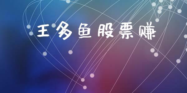王多鱼股票赚_https://qh.lansai.wang_期货理财_第1张