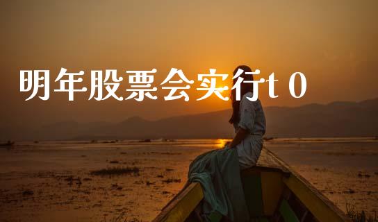 明年股票会实行t 0_https://qh.lansai.wang_期货喊单_第1张