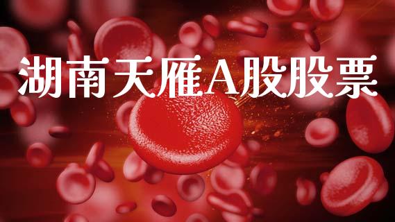 湖南天雁A股股票_https://qh.lansai.wang_新股数据_第1张