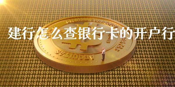 建行怎么查银行卡的开户行_https://qh.lansai.wang_新股数据_第1张