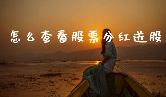 怎么查看股票分红送股_https://qh.lansai.wang_期货怎么玩_第1张