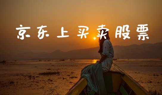 京东上买卖股票_https://qh.lansai.wang_期货喊单_第1张