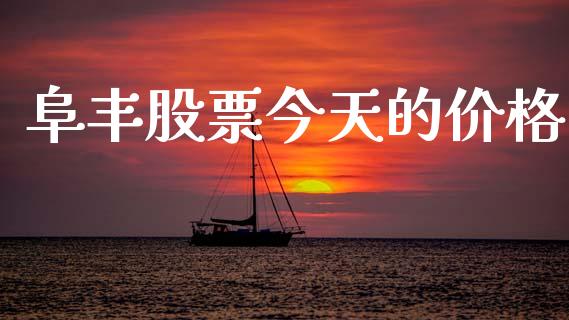 阜丰股票今天的价格_https://qh.lansai.wang_期货怎么玩_第1张