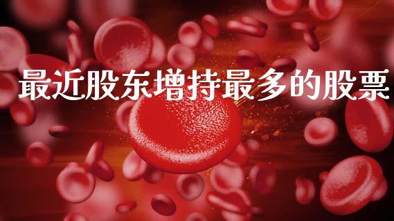最近股东增持最多的股票_https://qh.lansai.wang_期货怎么玩_第1张